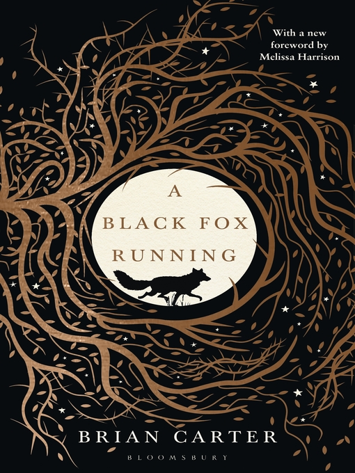Cover image for A Black Fox Running